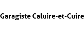 Garagiste Caluire-et-Cuire